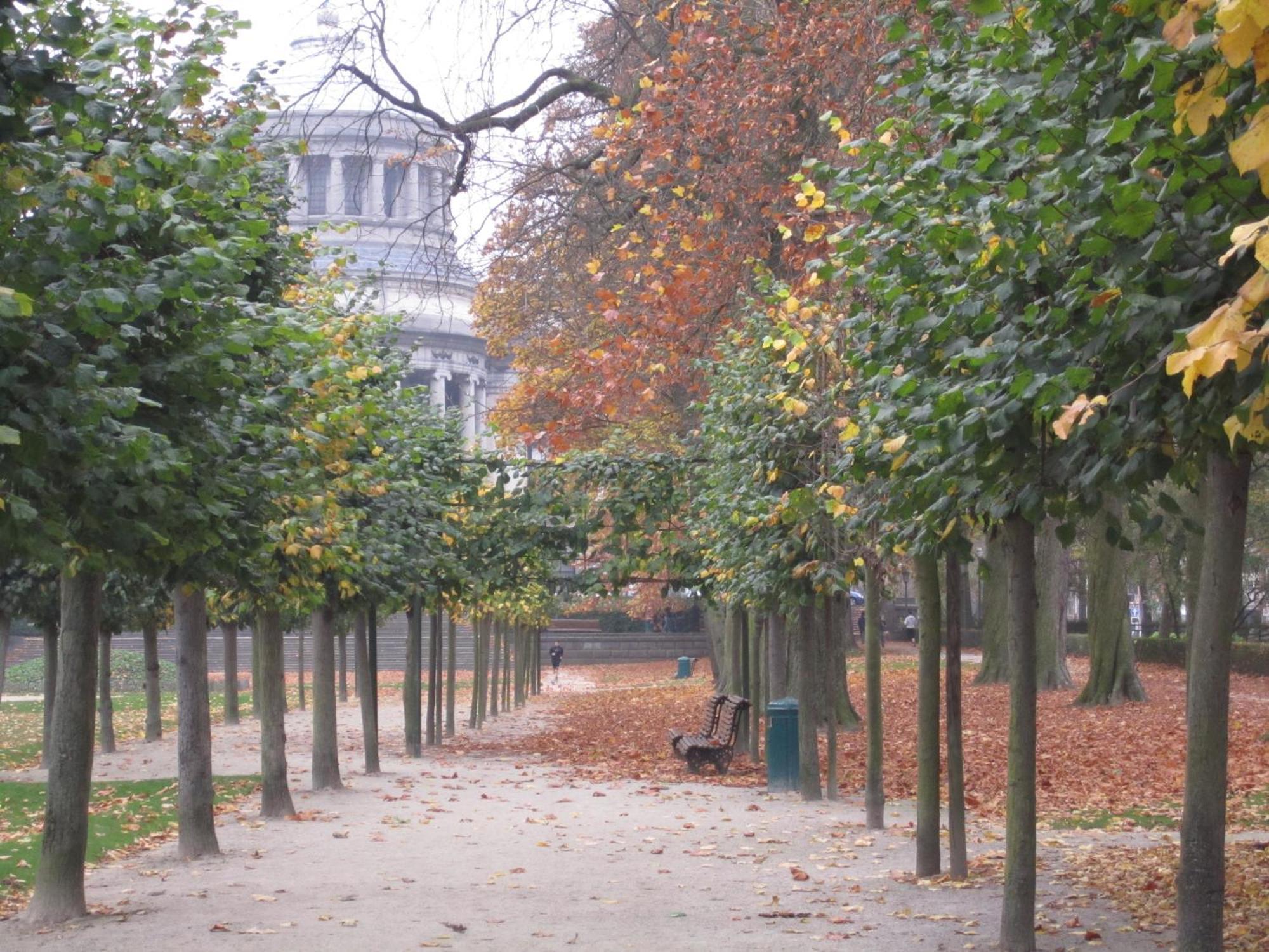 B&B A Cote Du Cinquantenaire Etterbeek Εξωτερικό φωτογραφία